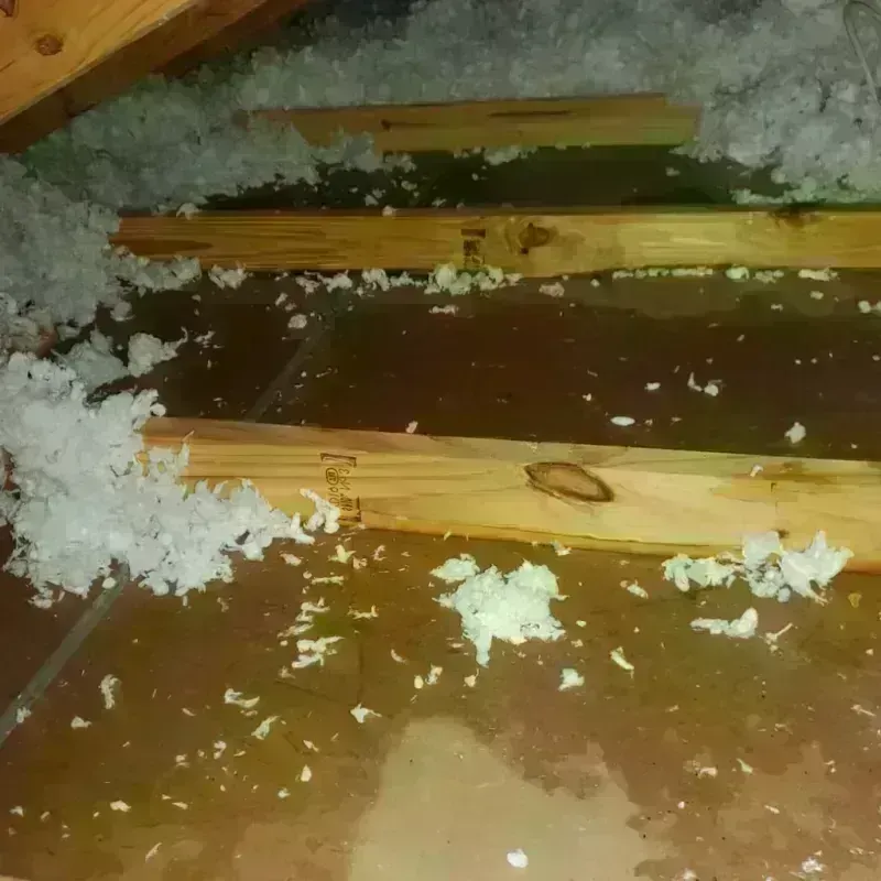 Attic Water Damage in Randolph County, GA