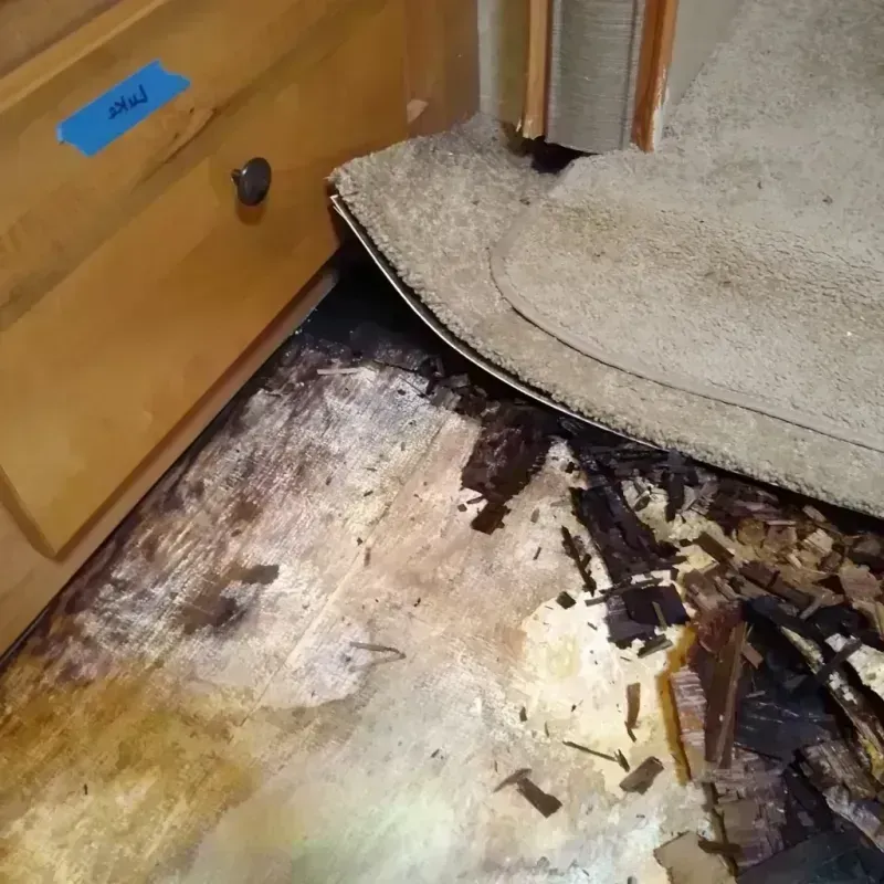 Best Wood Floor Water Damage Service in Randolph County, GA